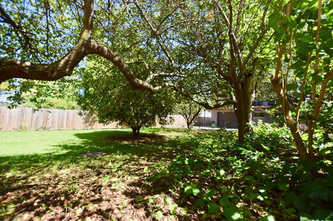 Wildlife Lodge Katoomba - Airlie Beach Holiday 26