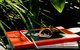 Veriu Camperdown - thumb 7