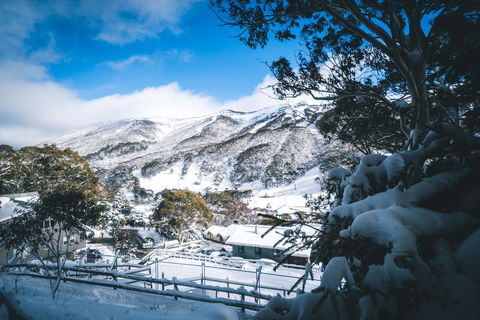 Pure Chalet Thredbo - Airlie Beach Holiday 31