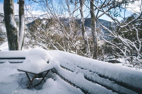 Pure Chalet Thredbo - Airlie Beach Holiday 19