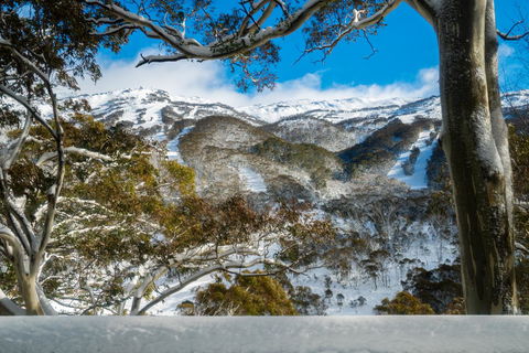 Pure Chalet Thredbo - Airlie Beach Holiday 17