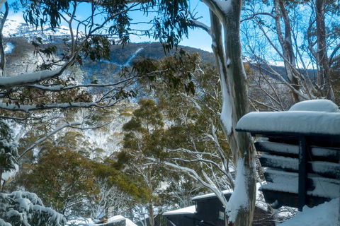 Pure Chalet Thredbo - Airlie Beach Holiday 30