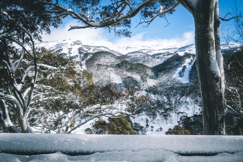 Pure Chalet Thredbo - Airlie Beach Holiday 2