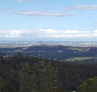 Bottletree Gardens - Mini Manson Blue