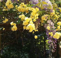 Bowral Road Bed and Breakfast - Airlie Beach Holiday