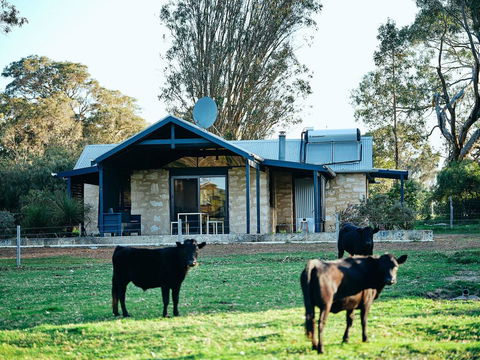Burnside Organic Farm - Airlie Beach Holiday 2