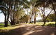 Bussells Bushland Cottages - thumb 1
