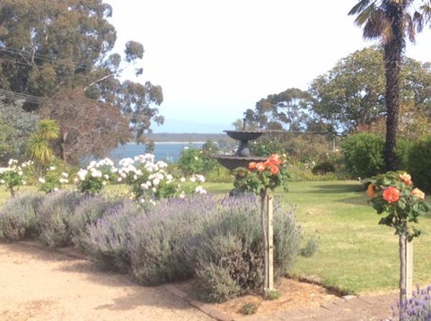 Clovelly Cottage - Airlie Beach Holiday 1