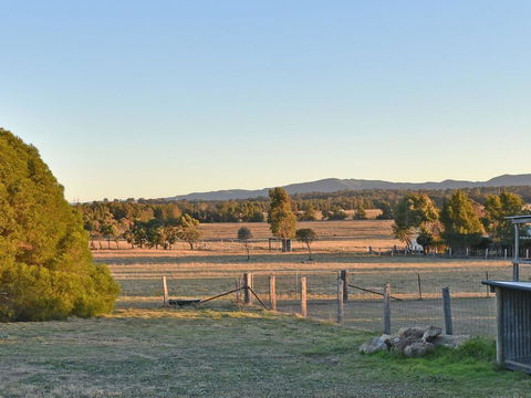 Clydesdale Cottage On Talga With Real Clydesdale Horses - Airlie Beach Holiday 1