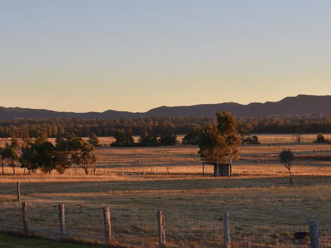 Clydesdale Cottage On Talga With Real Clydesdale Horses - Airlie Beach Holiday 3