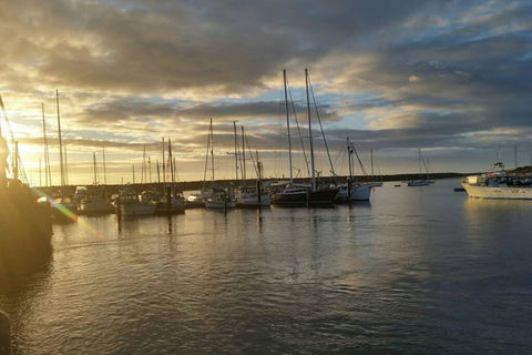 Cosy Cottage Valley Views - Airlie Beach Holiday 3