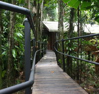 Daintree Wilderness Lodge