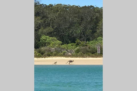 FAIRVIEW COTTAGE 25B - Waterfront Accommodation - Airlie Beach Holiday 0