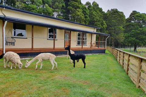 Farm Stay Lowana, Strahan - Airlie Beach Holiday 0