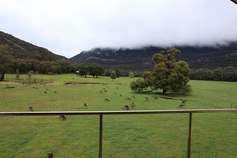Five Clematis Views - Airlie Beach Holiday 1
