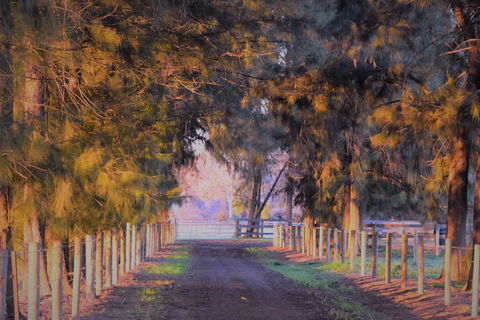 King River Cottage - Airlie Beach Holiday 3