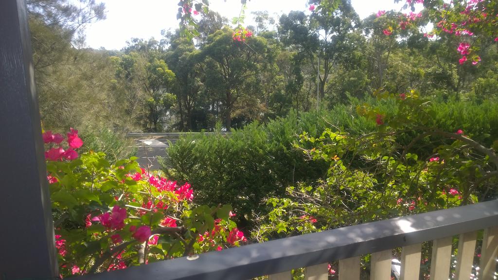 Linley Point NSW Airlie Beach Holiday