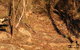 Maric Park Cottages - thumb 3