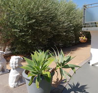 Mt.Lawley superb 2 BR Apartment Ideally located 5 - Airlie Beach Holiday