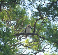 Jacaranda Hideaway Bed  Breakfast - Airlie Beach Holiday