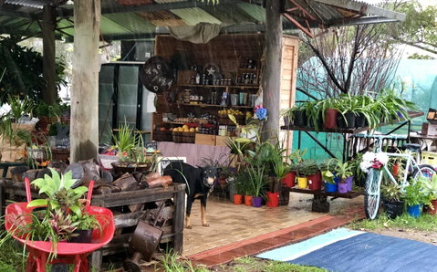 Kellers Bed And Breakfast - Airlie Beach Holiday 20