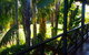 Majestichomestead B&B - thumb 29