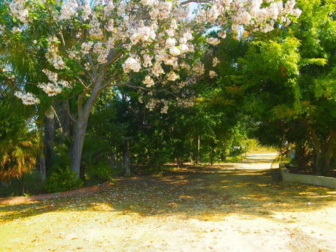Majestichomestead B&B - Airlie Beach Holiday 33
