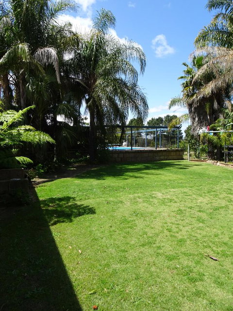 Majestichomestead B&B - Airlie Beach Holiday 22