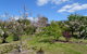 Majestichomestead B&B - thumb 27