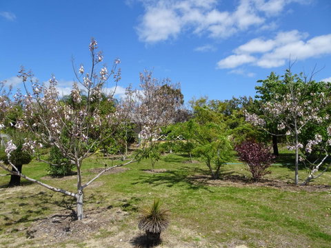 Majestichomestead B&B - Airlie Beach Holiday 27