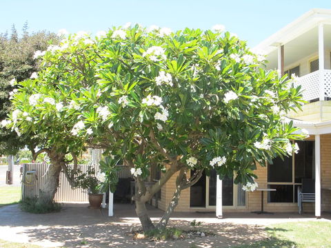 Kalbarri Riverfront Unit - Airlie Beach Holiday 6