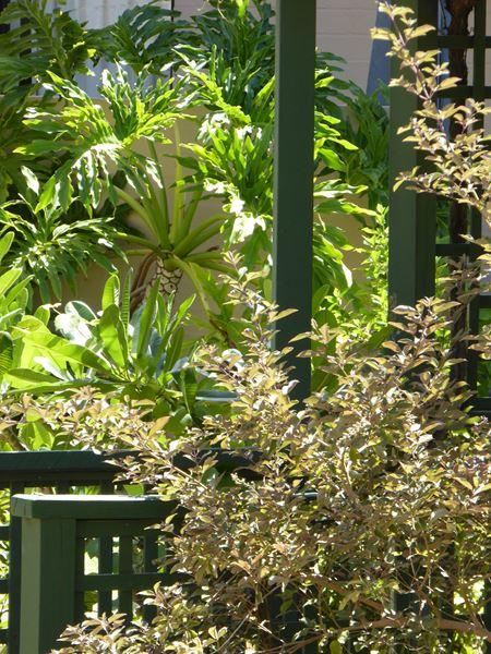 Kalbarri Beach Resort - Airlie Beach Holiday 32