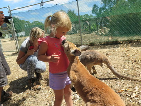 Jurien Beachfront Holiday Units - Airlie Beach Holiday 36