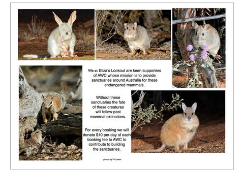 Eliza\'s Lookout - Airlie Beach Holiday 36