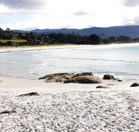 Mermaids of Bicheno - Airlie Beach Holiday