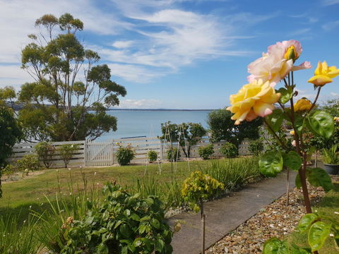Garden By The Beach - Gateway To The East Coast, Close To Airport - Airlie Beach Holiday 23