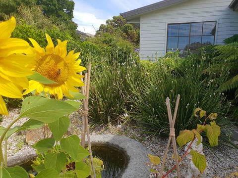 Garden By The Beach - Gateway To The East Coast, Close To Airport - Airlie Beach Holiday 13