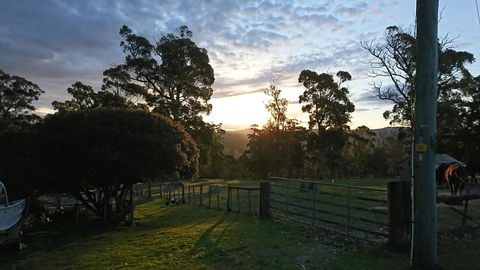 Glengarry Farm Stay BnB - Airlie Beach Holiday 0