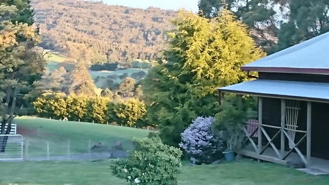 Glengarry Farm Stay BnB - Airlie Beach Holiday 7