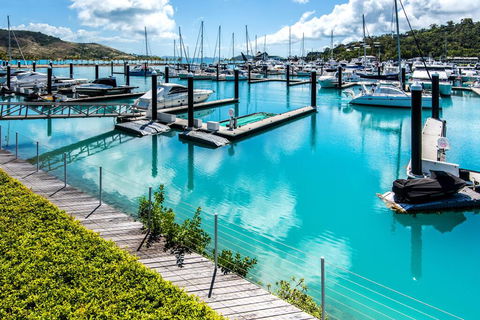 Pavilion 2 Luxury 4 Bedroom 3 Bathroom With Inground Pool And Gold Buggy - Airlie Beach Holiday 0