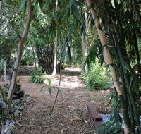 Rainforest Water Front River Shack Secluded. - Airlie Beach Holiday