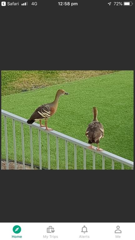 Resort Living - Airlie Beach Holiday 3