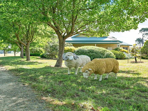Sinden Park - Garden, Swimming Pool, Rural Vistas - Airlie Beach Holiday 2