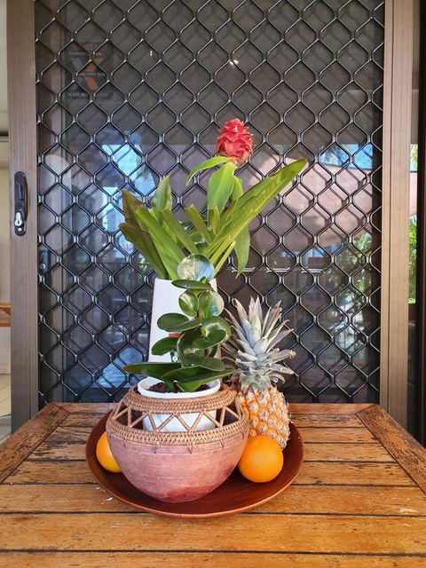 The Balinese - Airlie Beach Holiday 2