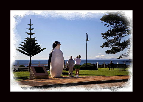 Penguin Beachfront Apartments - Airlie Beach Holiday 13