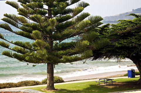 Penguin Beachfront Apartments - Airlie Beach Holiday 9