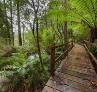 The Source Otways - Airlie Beach Holiday