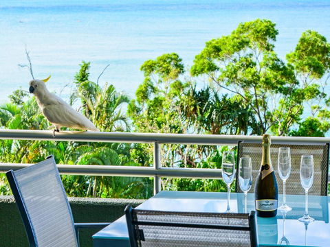 Top Floor Hibiscus Apartment 208 - Airlie Beach Holiday 3