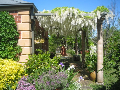 Trafalgar B&B - Airlie Beach Holiday 1