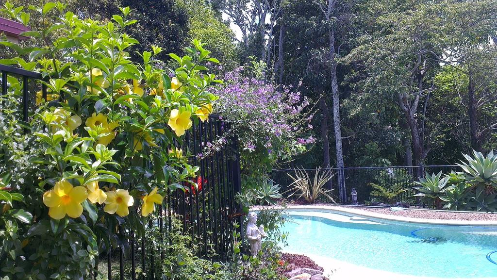 Duranbah NSW Airlie Beach Holiday